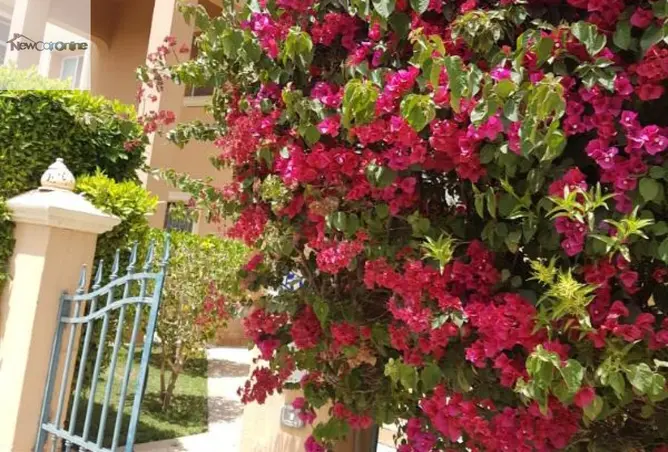 111889374 - Property Image 3