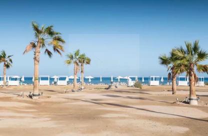 شقة - 1 - 2 للبيع في مانجروفي ريزيدنس - الجونة - الغردقة - محافظة البحر الاحمر شقة - 1 - 2 للبيع في مانجروفي ريزيدنس - الجونة - الغردقة - محافظة البحر الاحمر