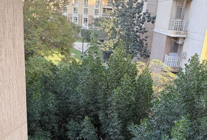 62896480 - صورة العقار 2