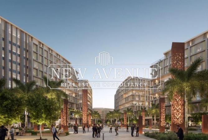 71906509 - Property Image 3