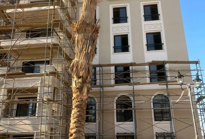 66684087 - صورة العقار 3