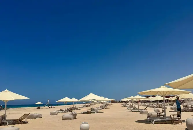 109625825 - صورة العقار 2