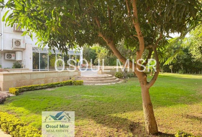 54749009 - صورة العقار 3