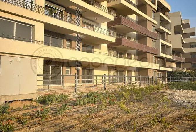 118040284 - Property Image 2