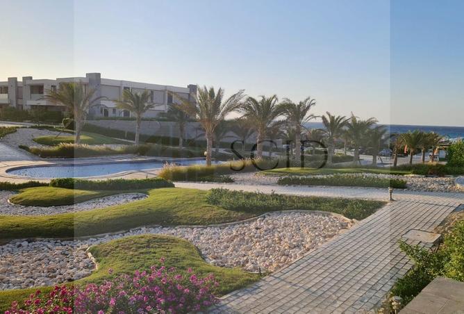 68538938 - Property Image 2