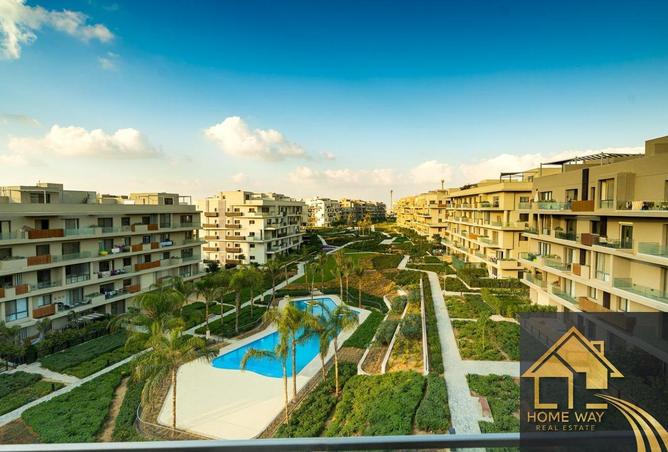 55999182 - Property Image 3