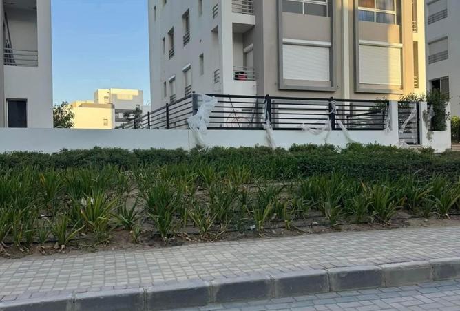 8402567 - صورة العقار 2