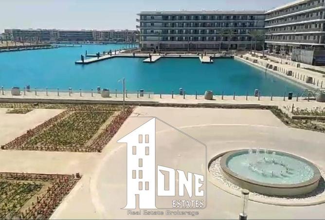 8565243 - صورة العقار 3