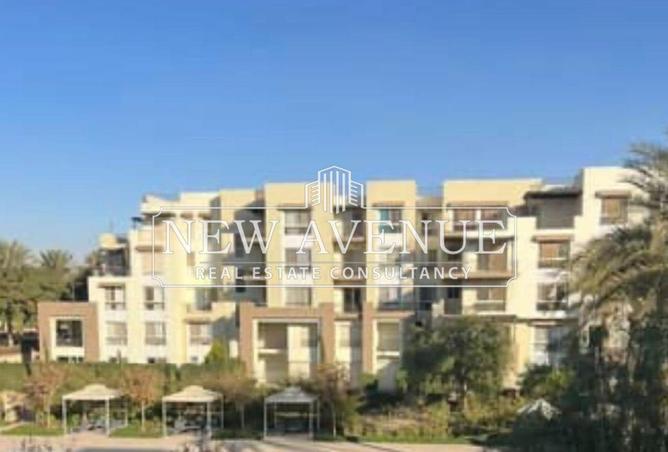 68262820 - Property Image 3