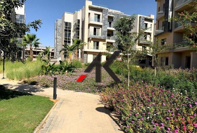 58241775 - صورة العقار 3