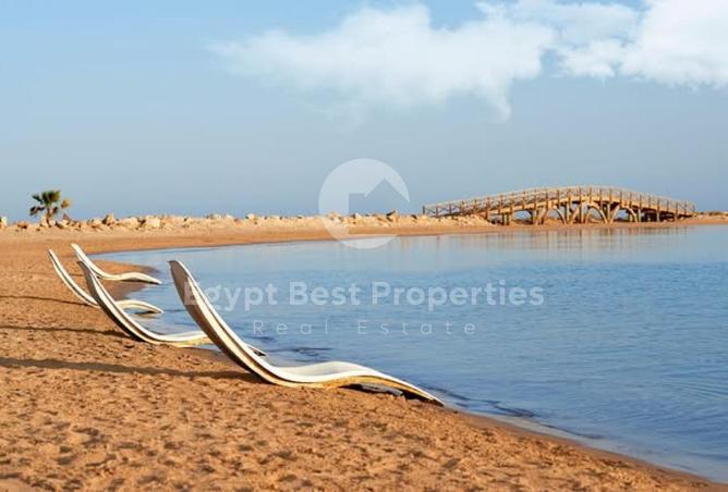 57996571 - Property Image 3