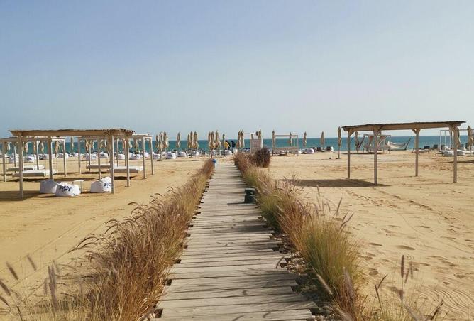 57241947 - صورة العقار 3