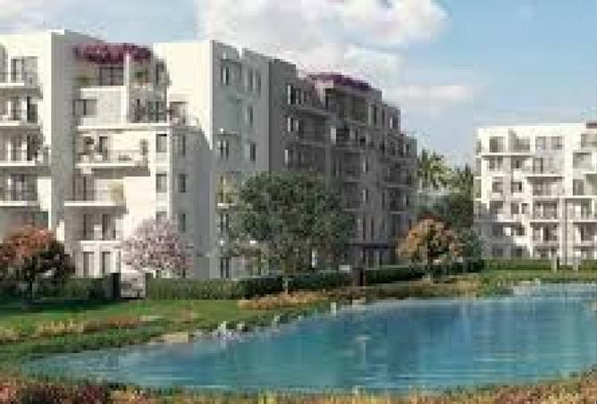 55505781 - صورة العقار 3