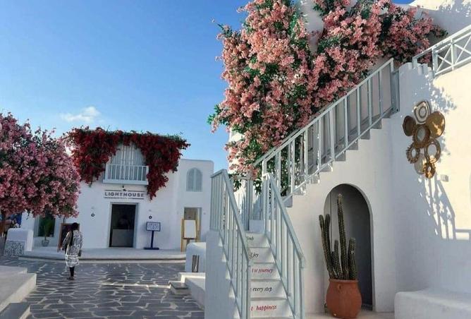 70087645 - Property Image 2