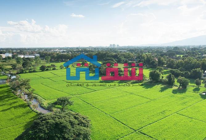Land for sale in Alexandria, 6 feddans