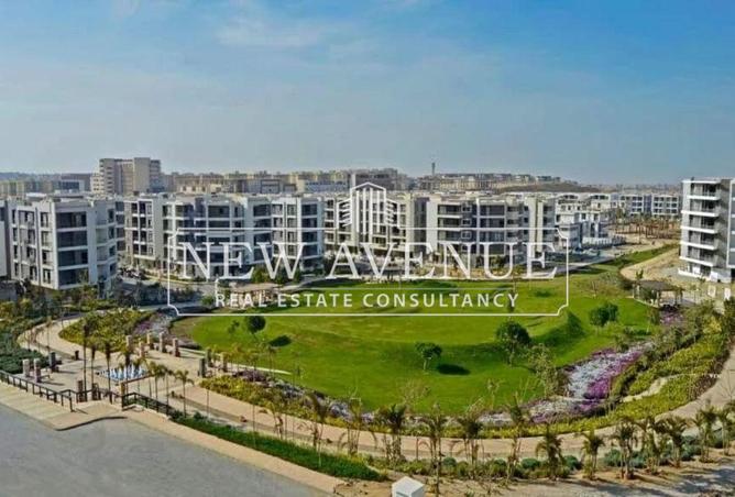 66431180 - صورة العقار 2