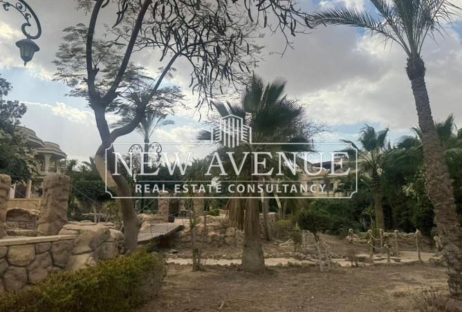 8677476 - Property Image 3