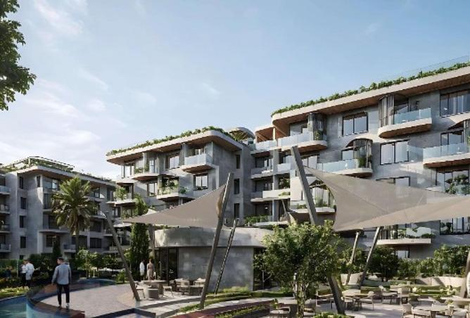 56002576 - Property Image 3