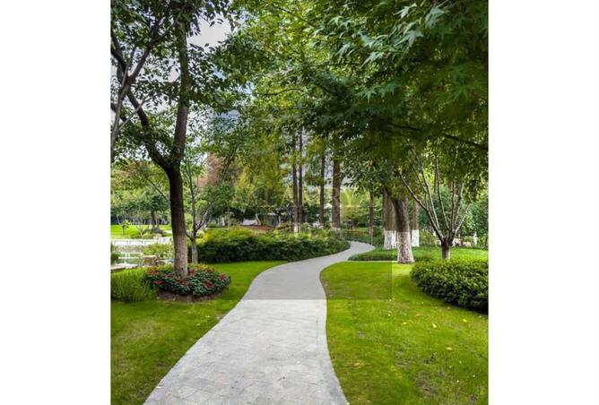 56005332 - Property Image 3