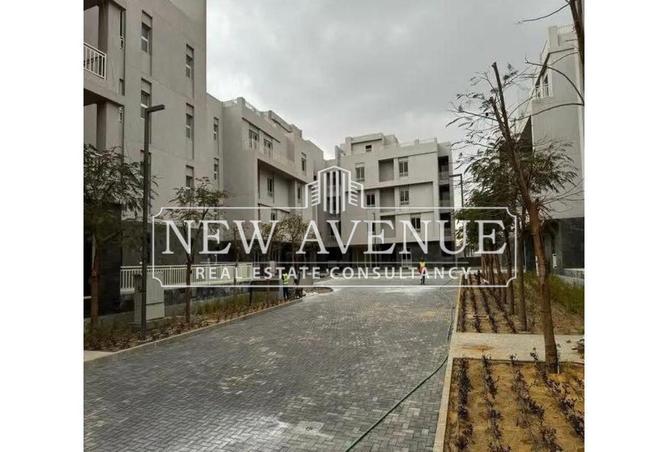 64906524 - Property Image 3