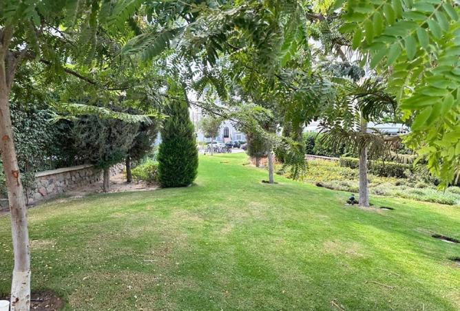 70103158 - Property Image 2