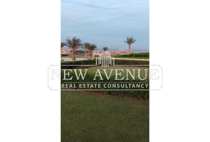 62401790 - Property Image 2