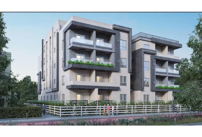 67731739 - Property Image 3