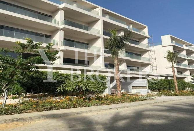 8596081 - صورة العقار 2