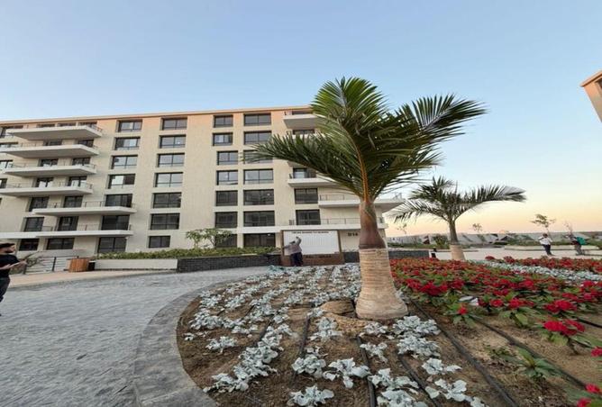 8543336 - Property Image 3