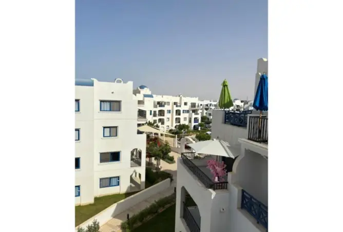115173974 - Property Image 3