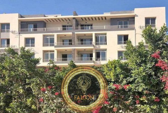 59000337 - Property Image 3