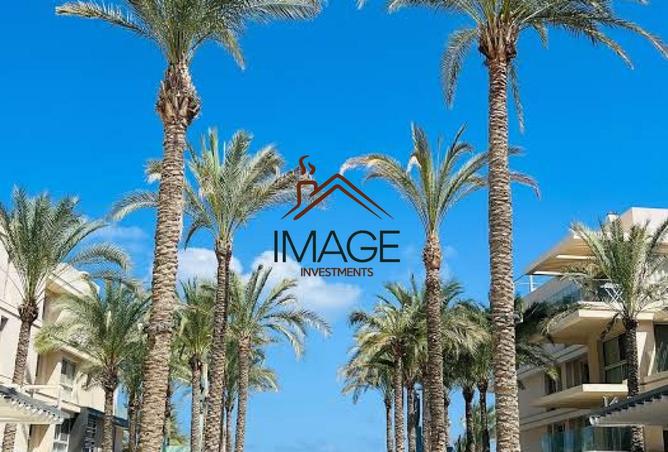 8587829 - صورة العقار 2