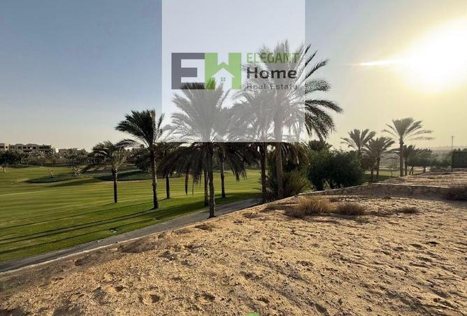 55501446 - Property Image 2