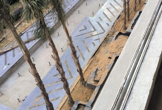 8646487 - Property Image 3