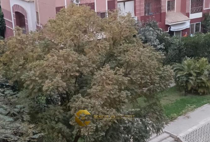86408664 - صورة العقار 3