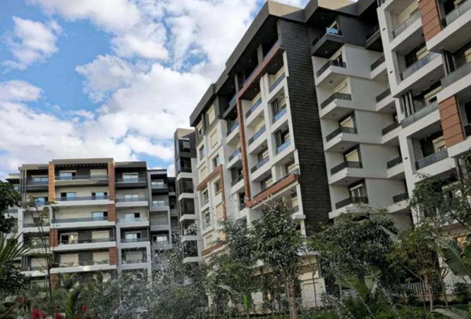 64896835 - Property Image 3