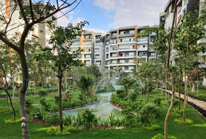 64896835 - Property Main Image