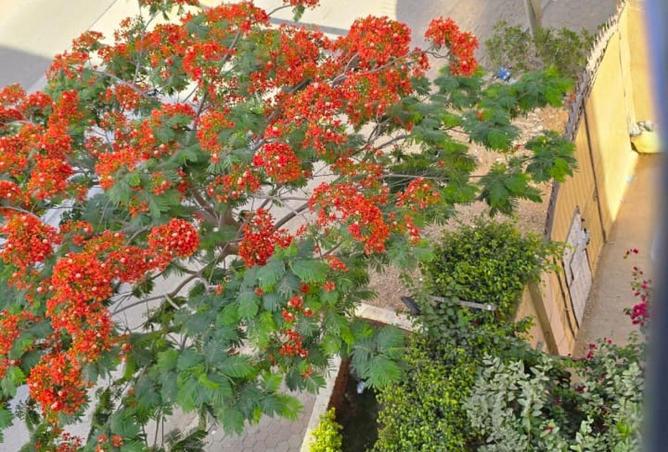 79991868 - الصورة الرئيسية للعقار