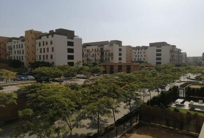 56506647 - صورة العقار 3