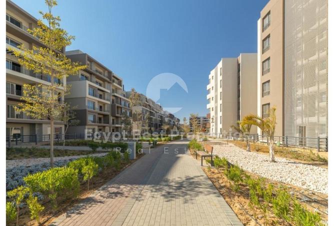 79456466 - Property Image 2