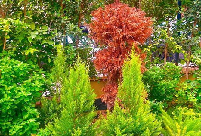 54246208 - صورة العقار 2