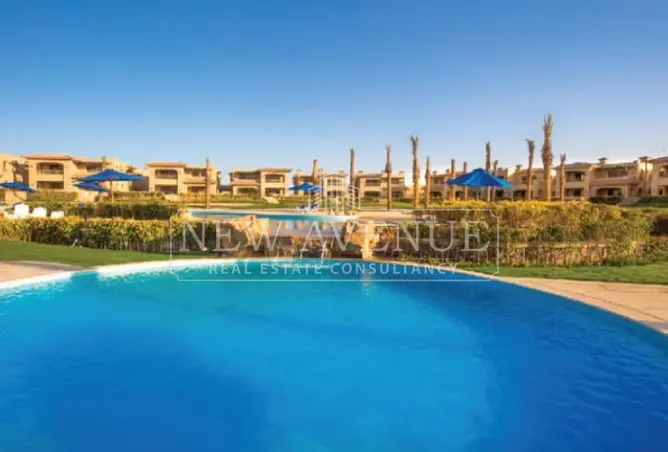 113247594 - Property Image 3