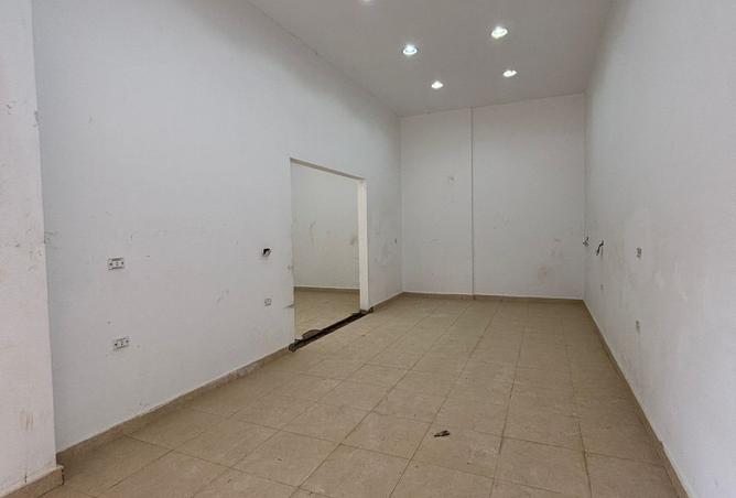 105172996 - صورة العقار 2