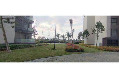 Apartment - 3 Bedrooms - 2 Bathrooms for rent in B15 - Madinaty - Cairo