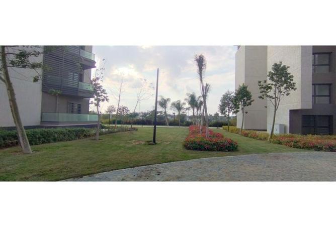 67220383 - الصورة الرئيسية للعقار