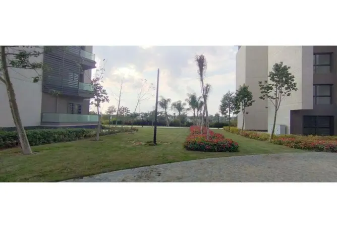 67220383 - صورة العقار 2