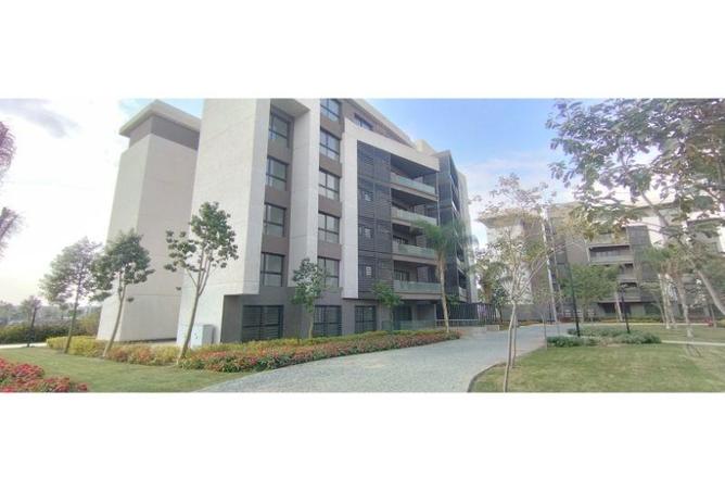 67220383 - صورة العقار 2