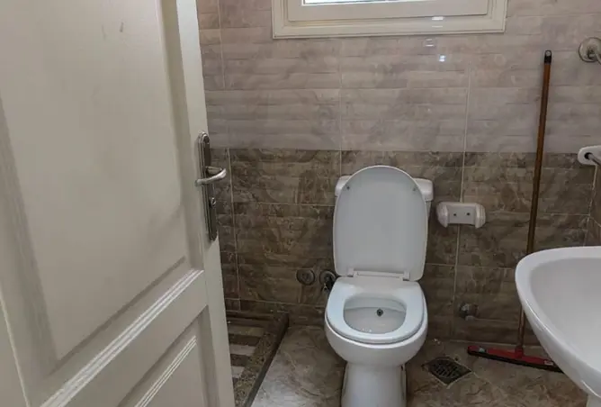 116226670 - Property Image 3