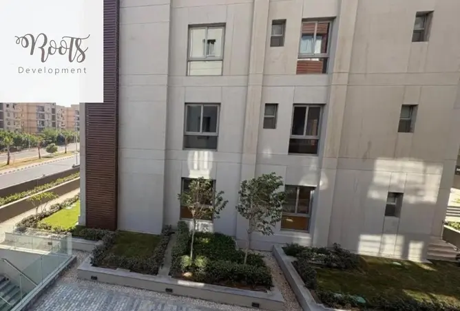 116748951 - Property Image 2