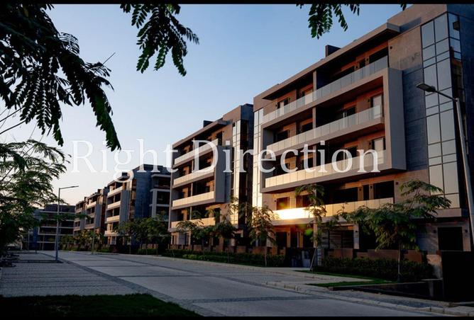 52186475 - Property Image 3